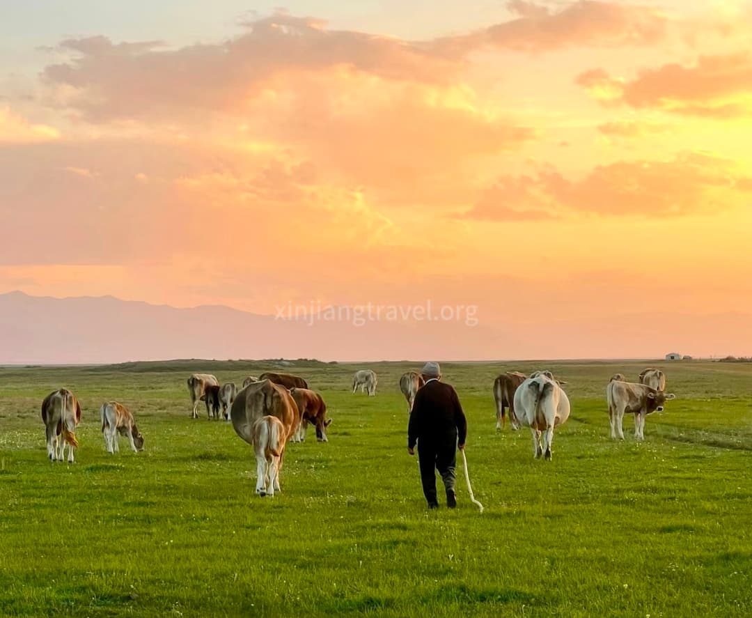 southern-xinjiang-tour.jpg