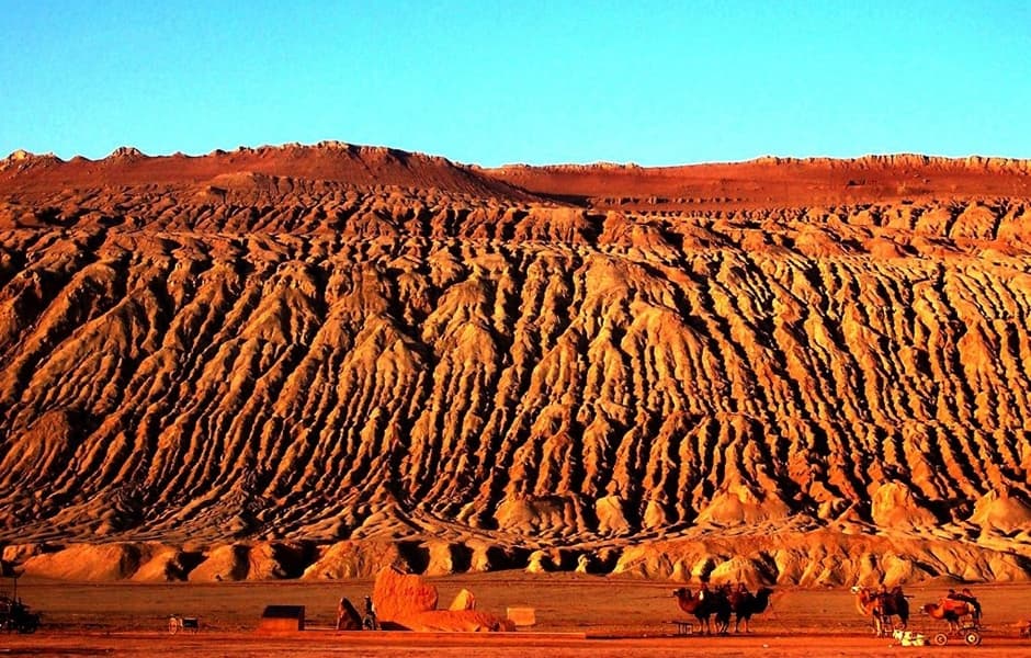 Xining City Xining City