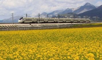 South Xinjiang Private Tour in May