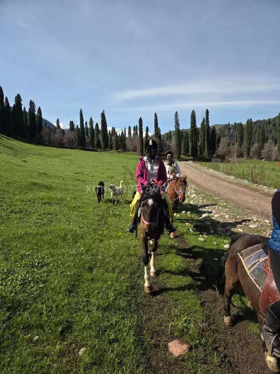 horse-riding-9