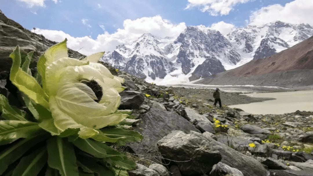 Issyk Kul Lake