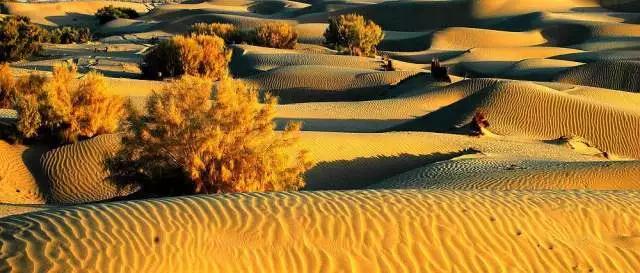 desert.jpg desert.jpg