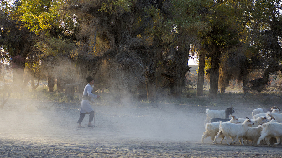 keriyan7.jpg keriyan7.jpg