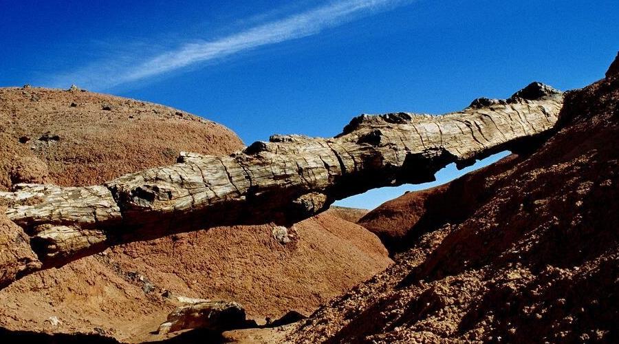 General Gobi.jpg.jpg.jpg.jpg.jpg.jpg General Gobi.jpg.jpg.jpg.jpg.jpg.jpg