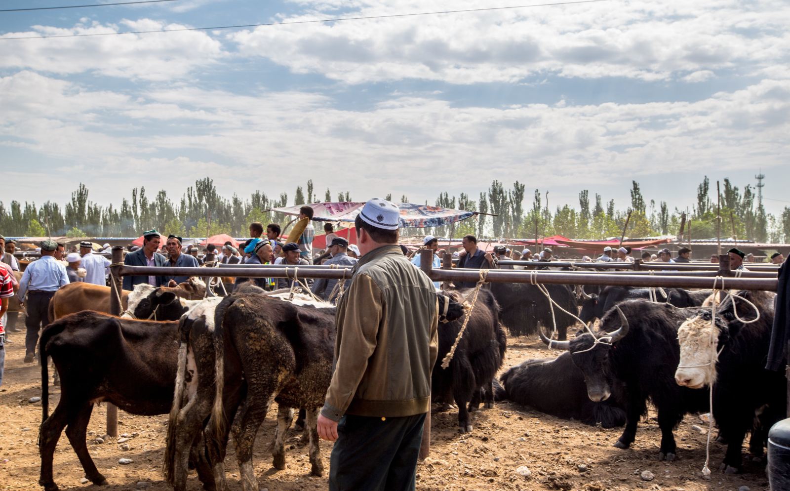 kashgar-7.jpg kashgar-7.jpg