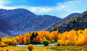 Koktokay.jpg Koktokay.jpg