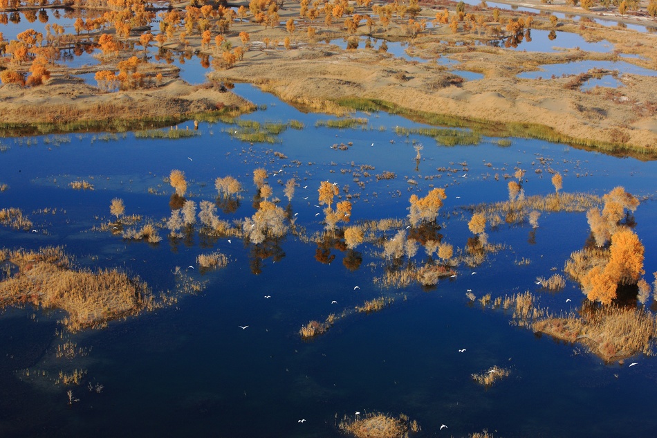 Secenry-of-the-Tarim-River-4