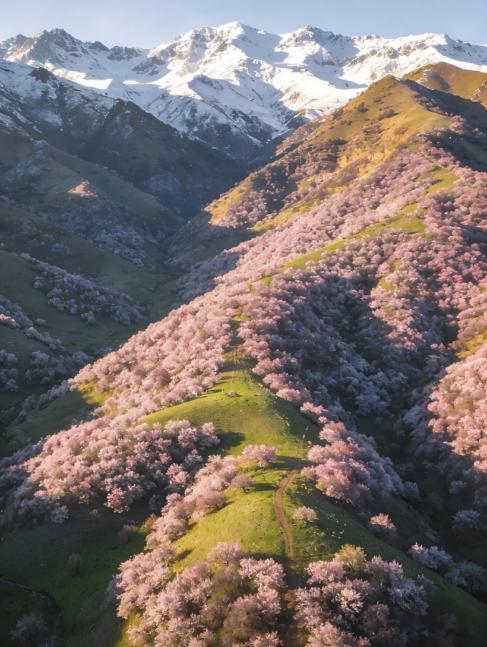 Tuergen Xinghua Valley, Ili.