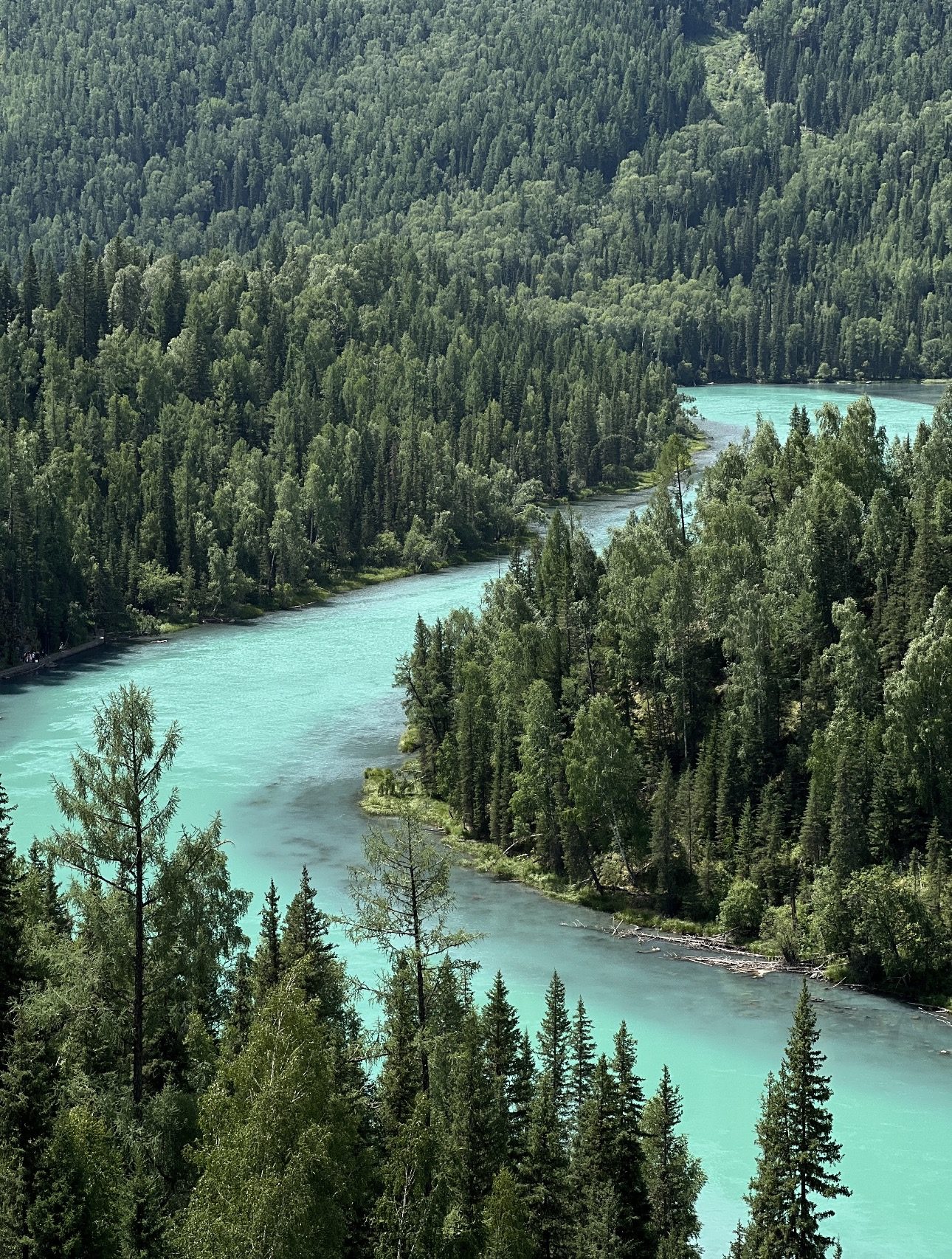 Wolong Bay of Kanas Lake, Xinjiang