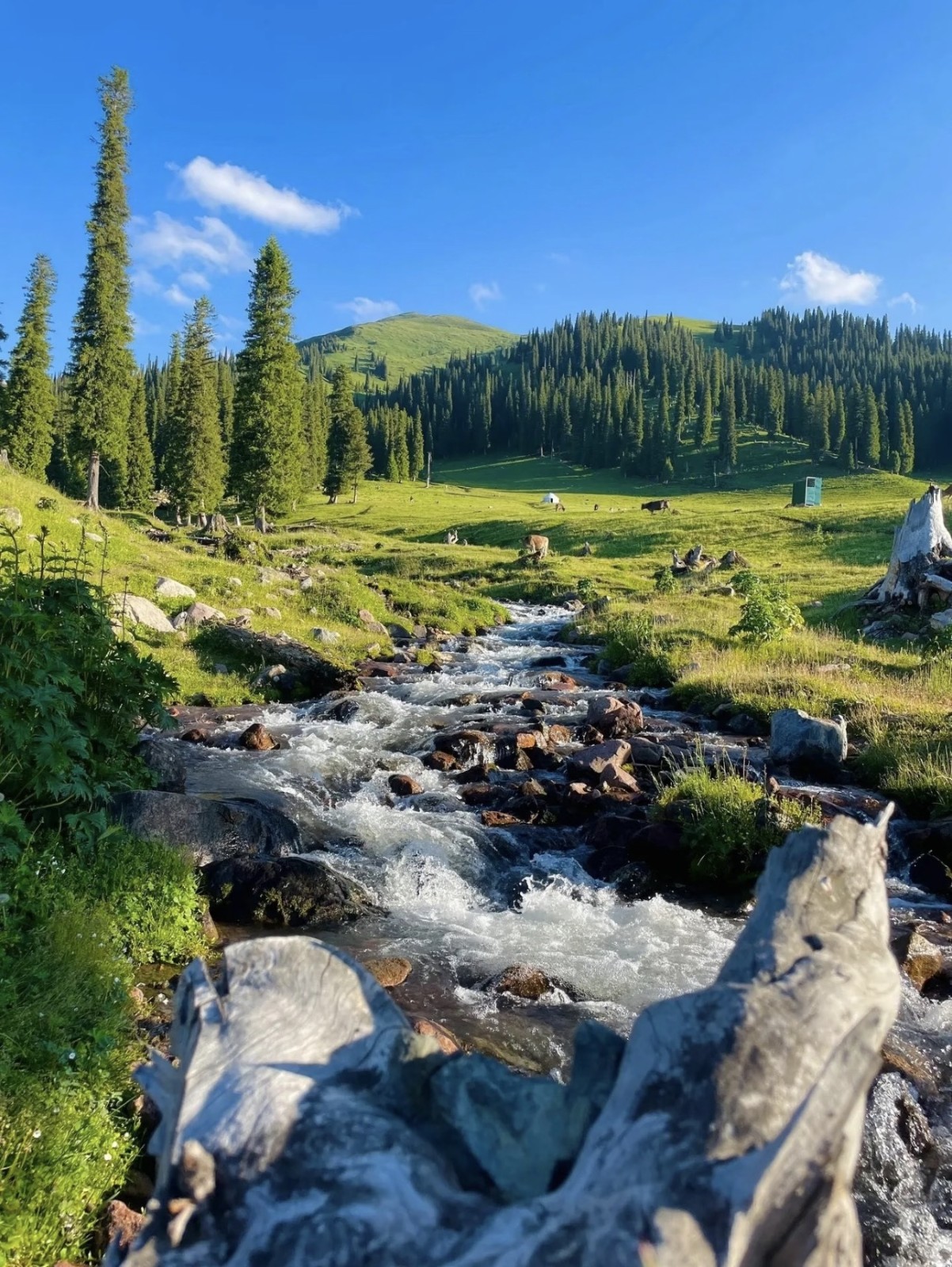Naratay Grassland, Xinjiang Naratay Grassland, Xinjiang