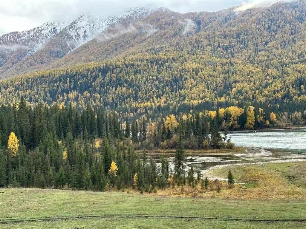 12 Days North Xinjiang Tour: Kanas Lake, Naraty Grassland .jpg