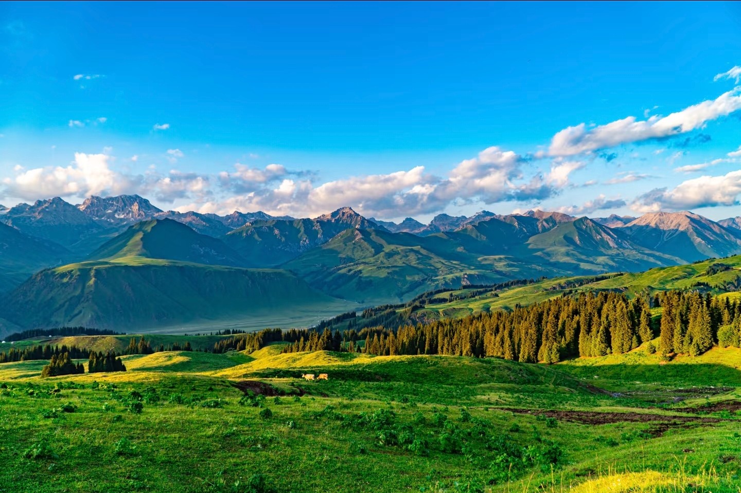 Narati-01.jpg Narati-01.jpg