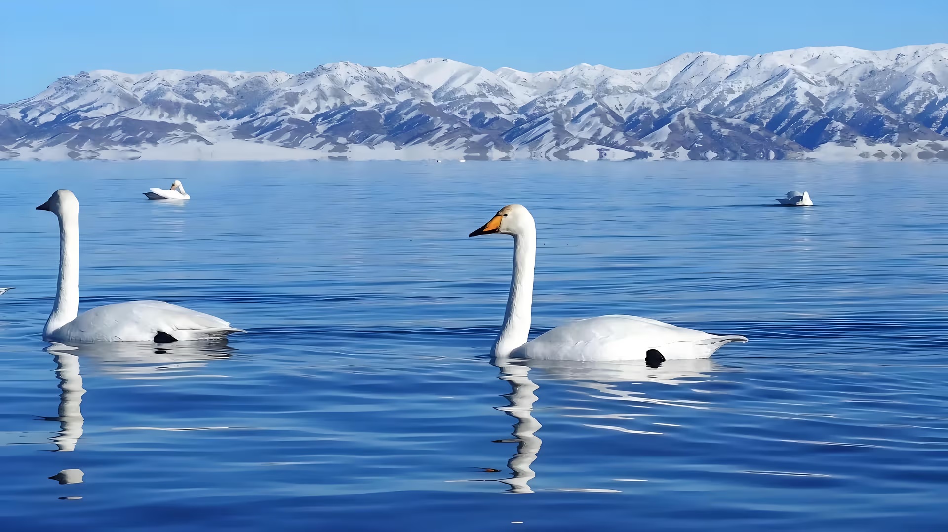 sayram lake.jpg sayram lake.jpg
