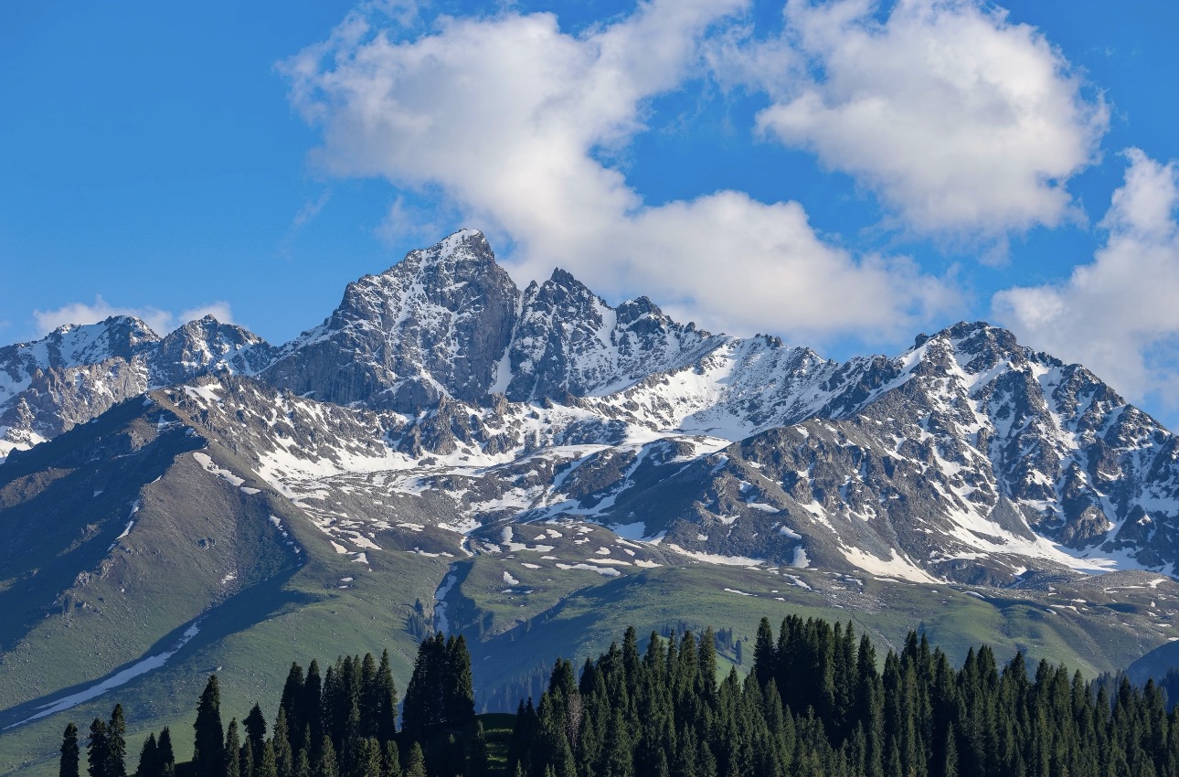 qiaxi-forest-park.jpg qiaxi-forest-park.jpg