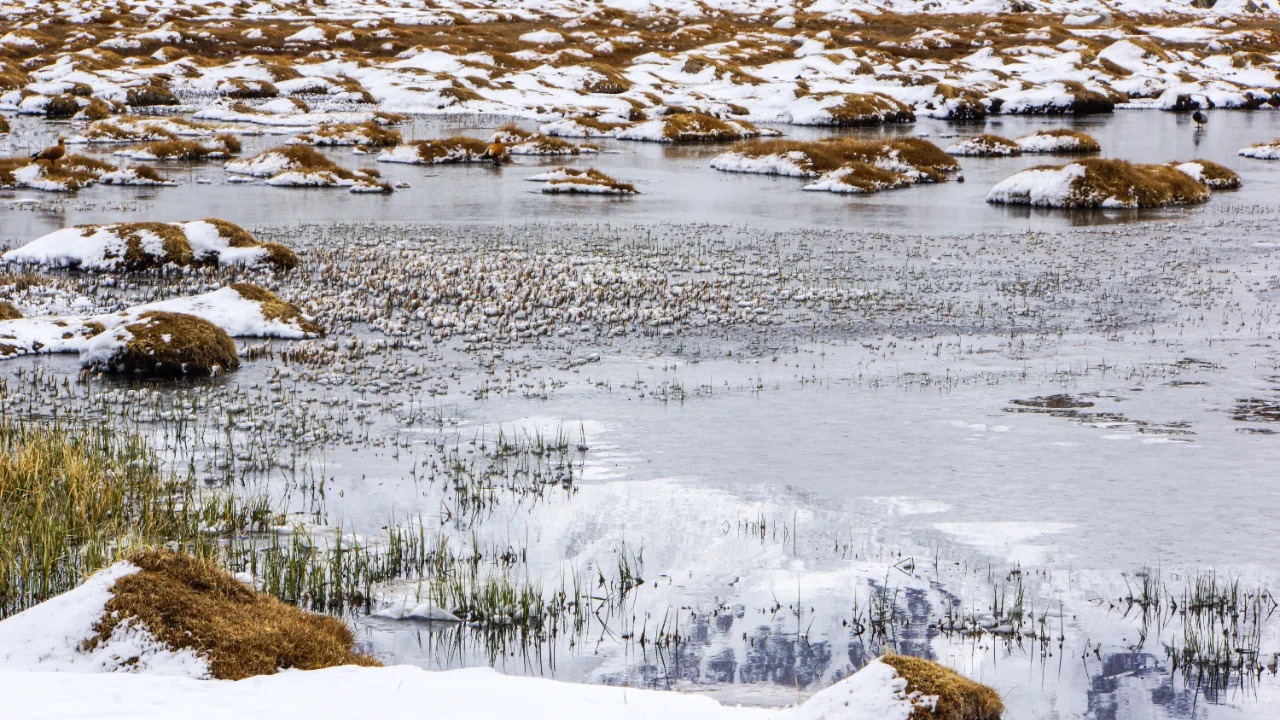 pamir-plateau.jpg pamir-plateau.jpg