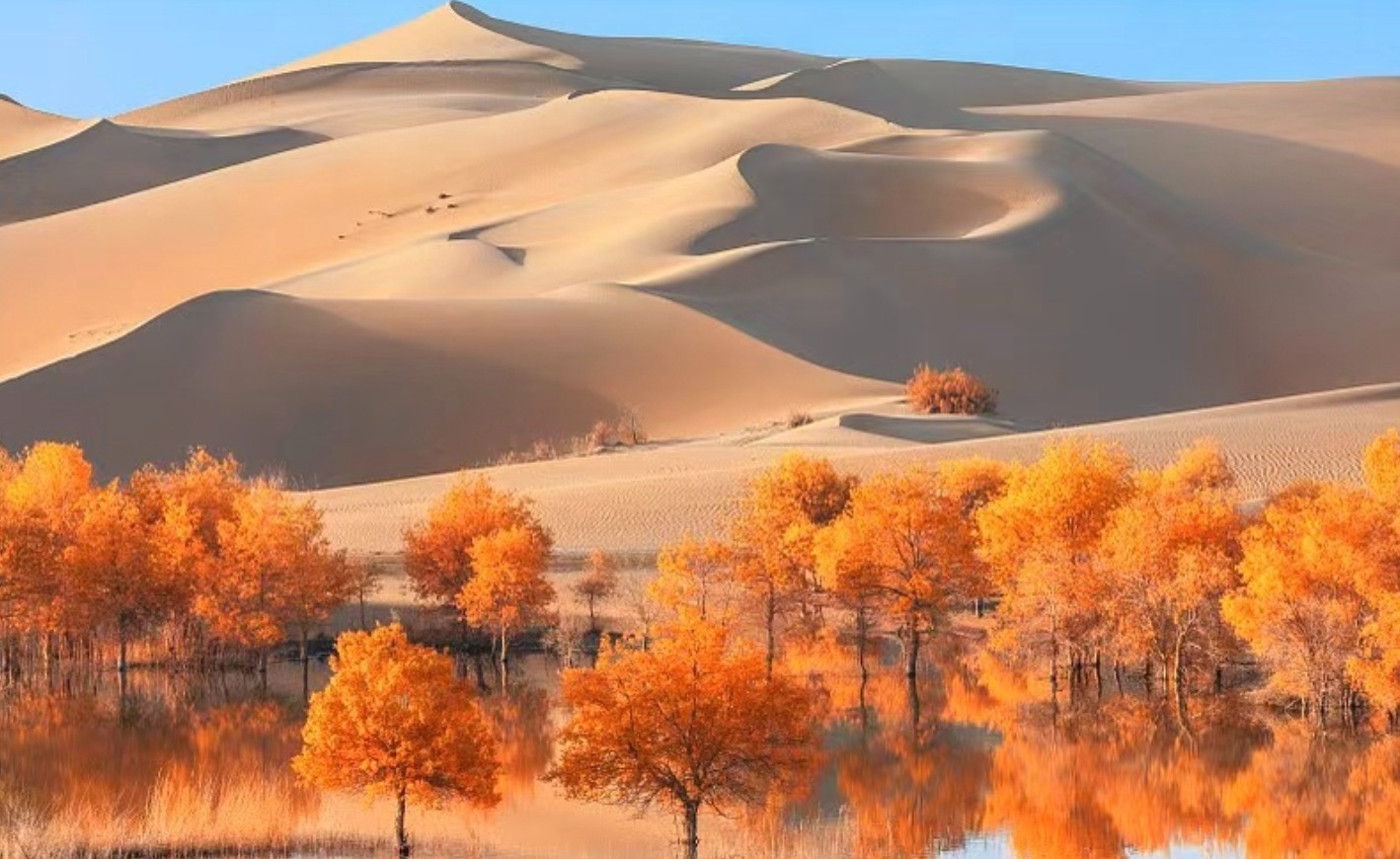 Taklamakan-Desert-01.jpg Taklamakan-Desert-01.jpg