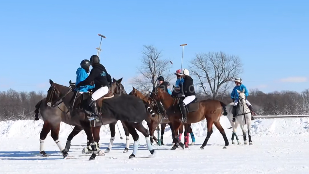 travelers-in-altay.png
