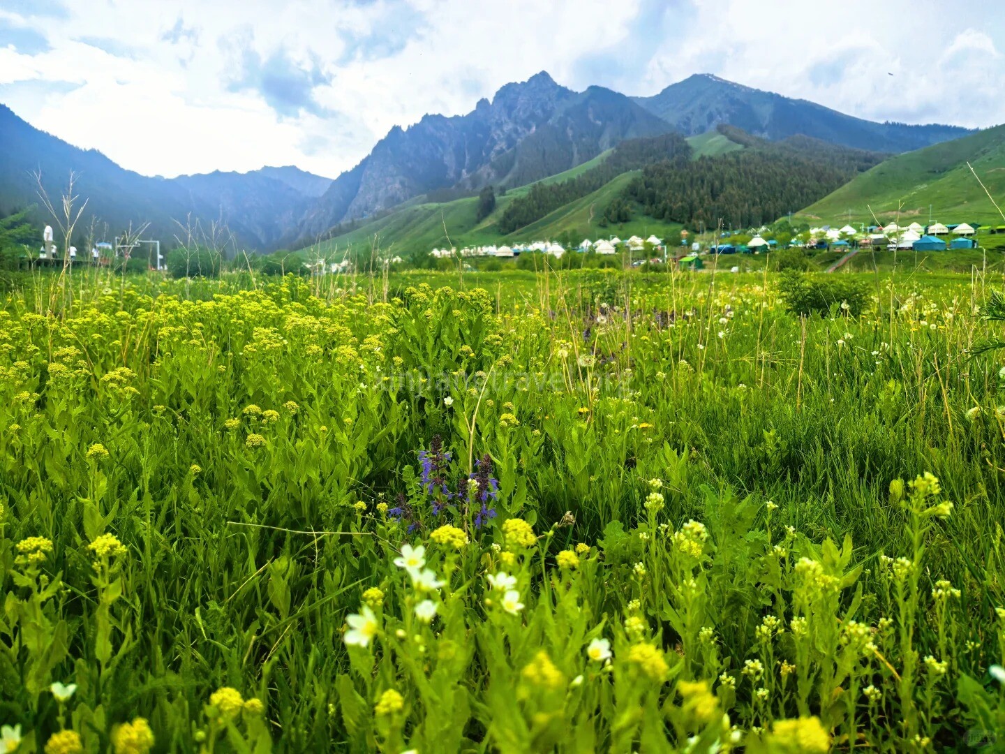 nanshan.jpg nanshan.jpg