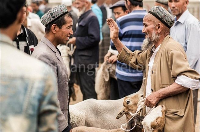 Weixin Screenshot_20250816103247.png