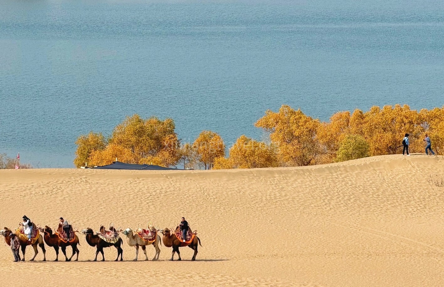 9-days-south-xinjiang-tour-01.jpg