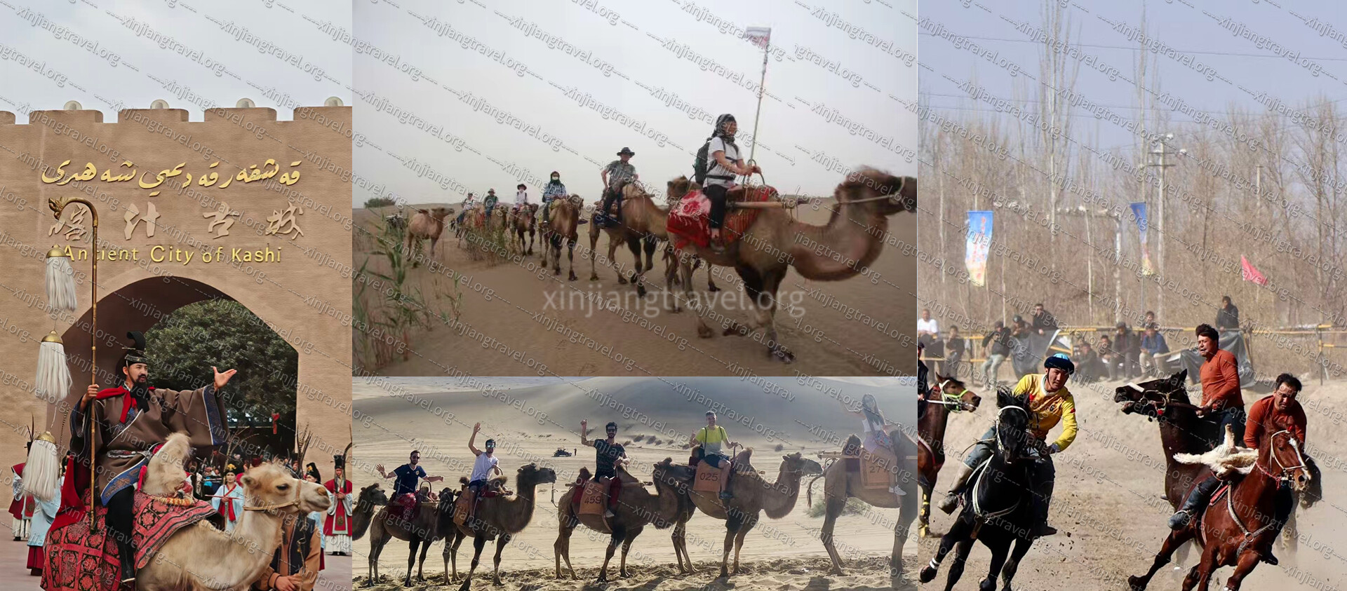 xinjiang camel riding.jpg