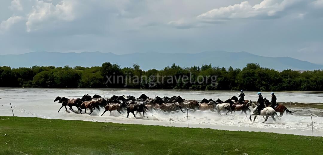 a-thousand-horses-galloping.jpg