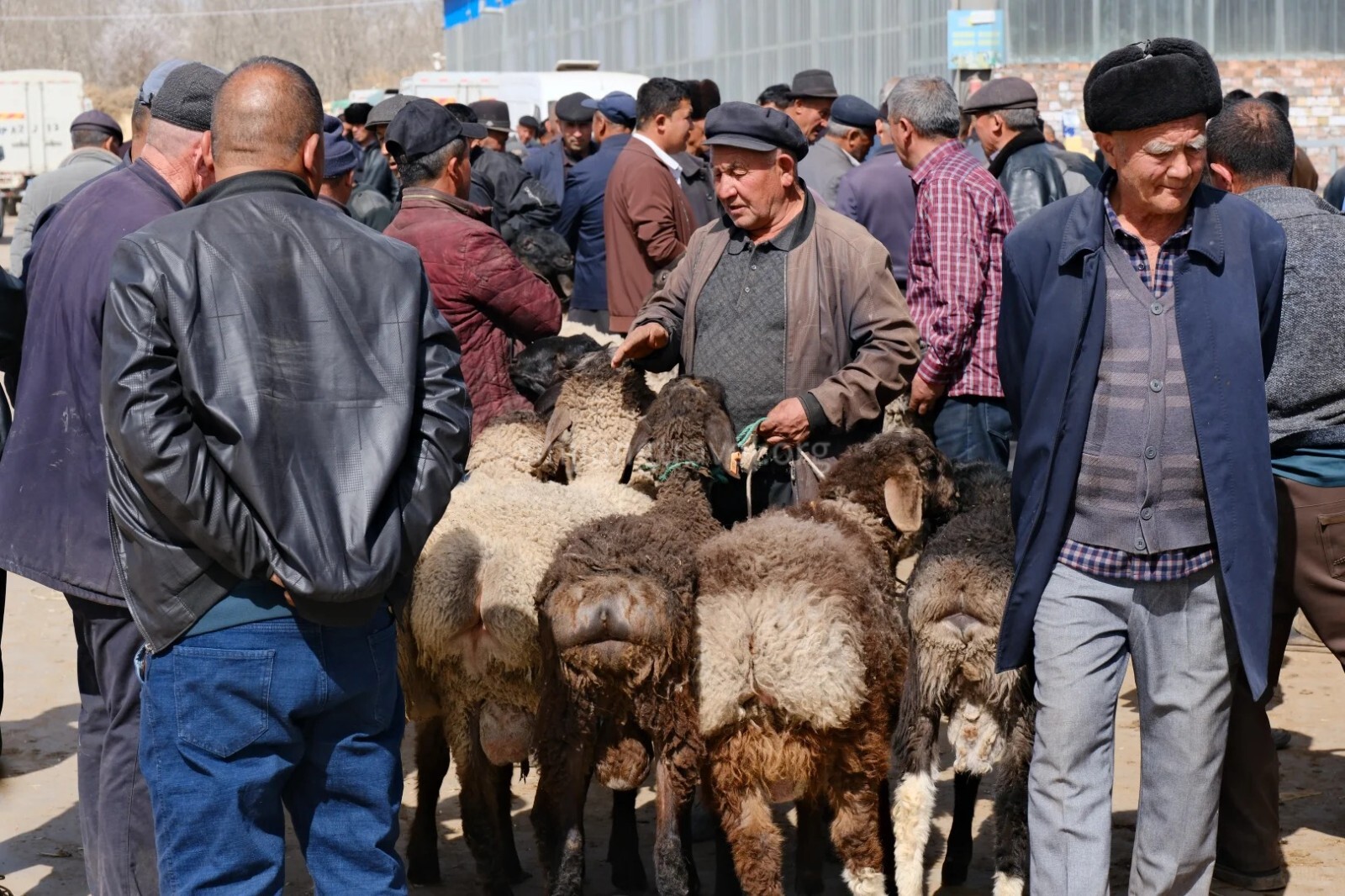 sunday-livestock-market.jpg