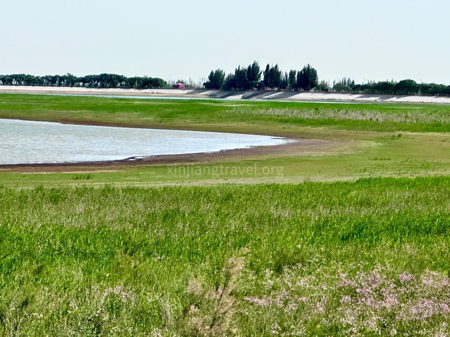 yarkand-river-wetland-park.jpg