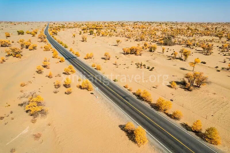 the-desert-highway.jpg