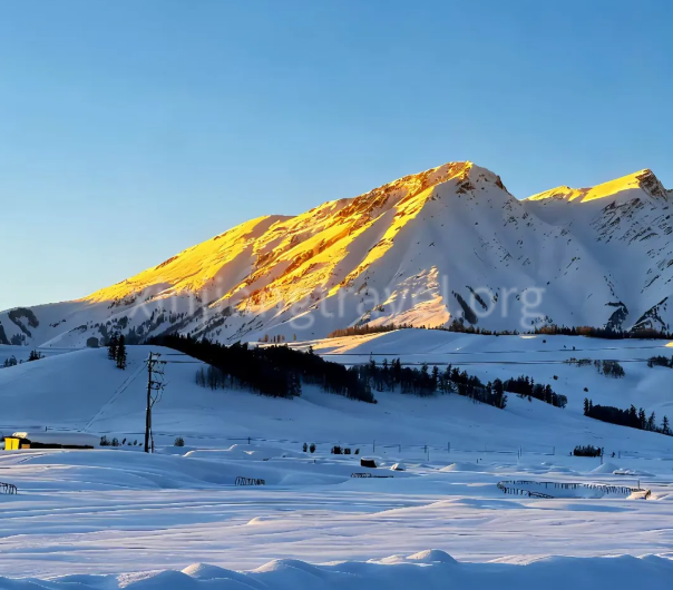 Altay-02.png