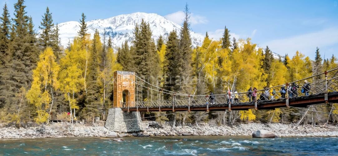 hemu-bridge.jpg