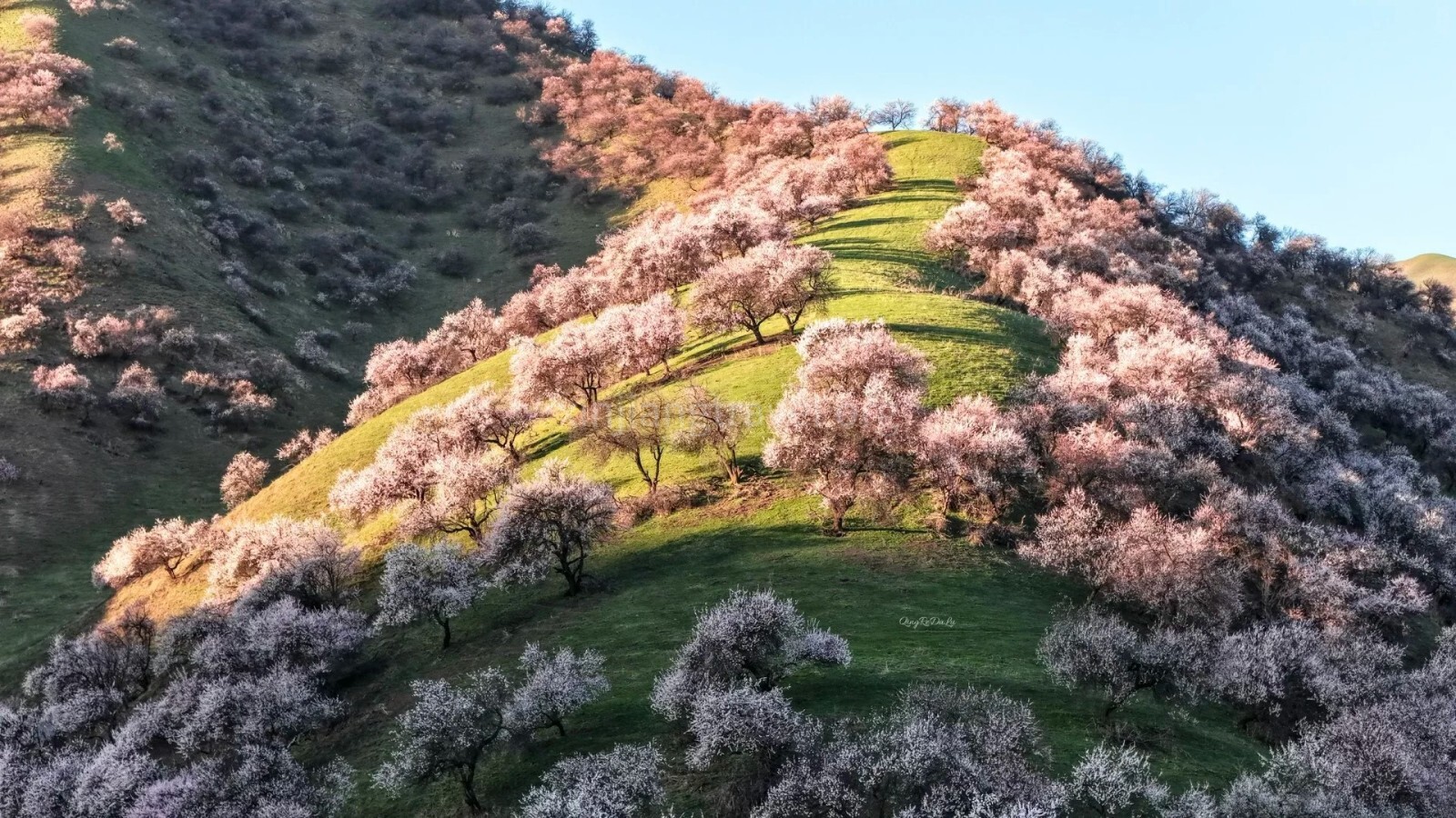 xinjiang-spring-travel-1