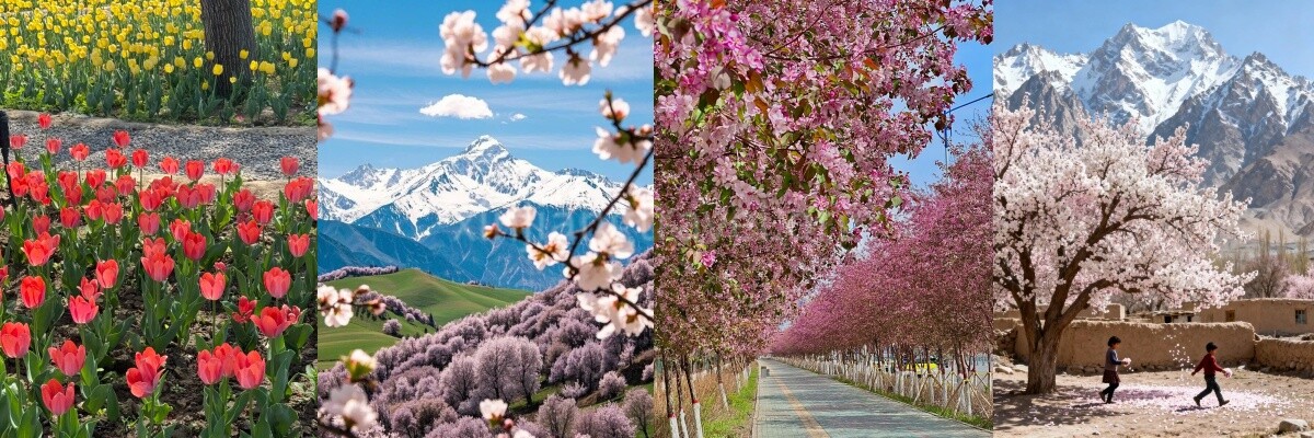 xinjiang-spring-travel-2