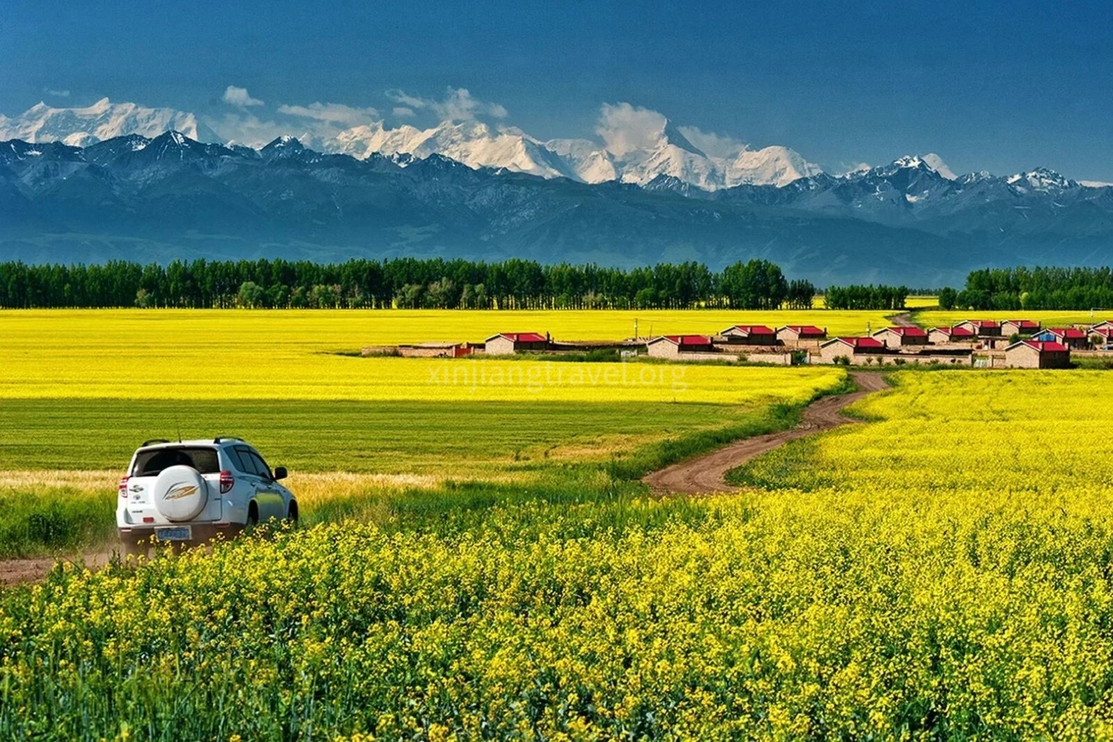 xinjiang-spring-travel-4