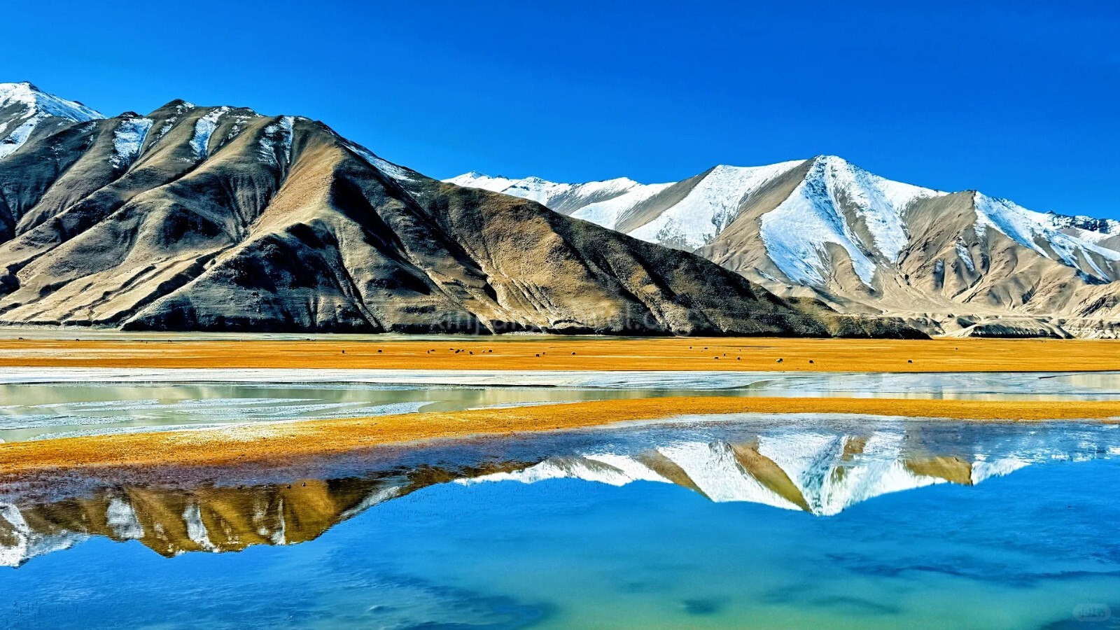 the pamir plateau (2).jpg