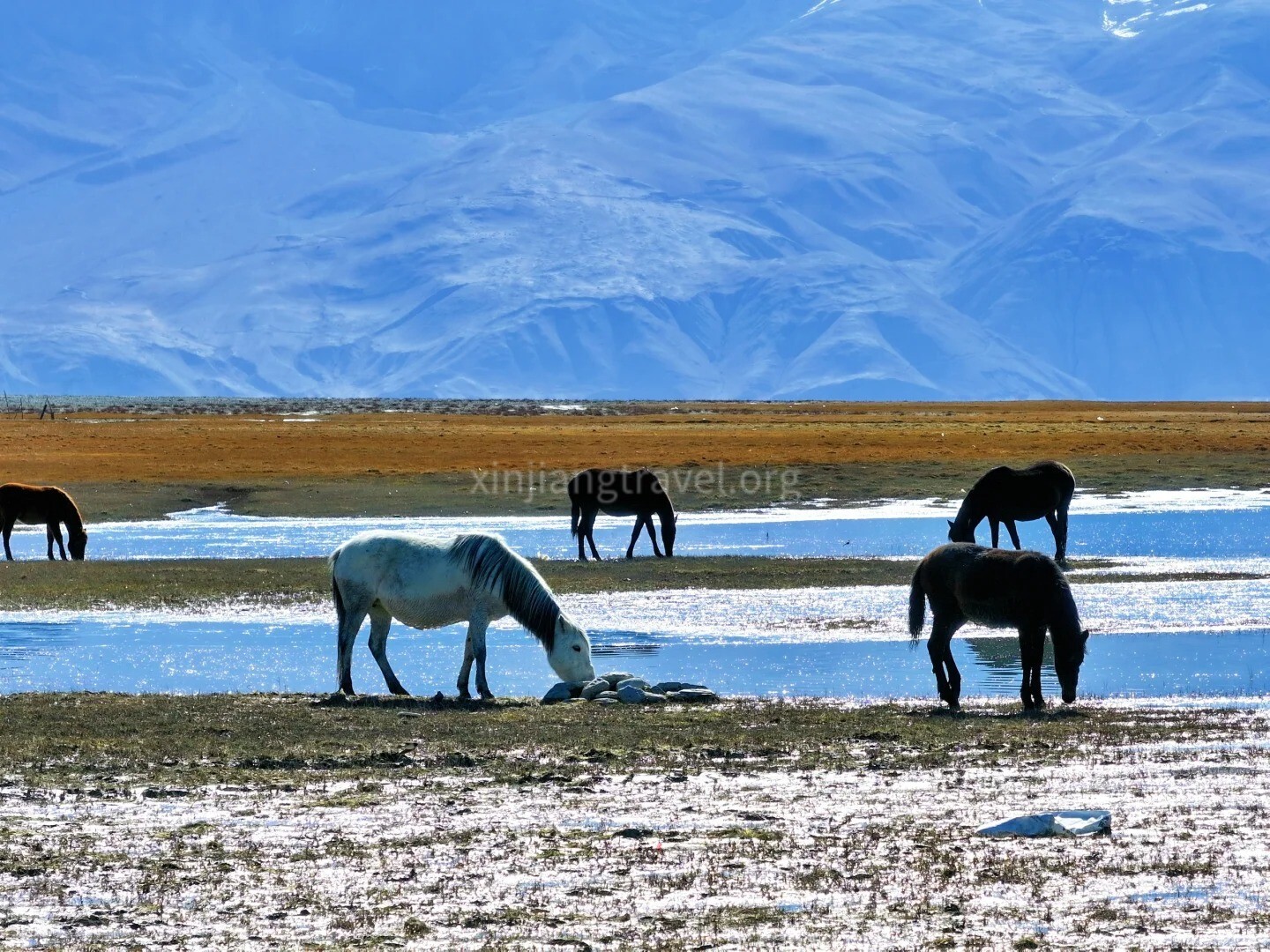 karakul-lake.jpg