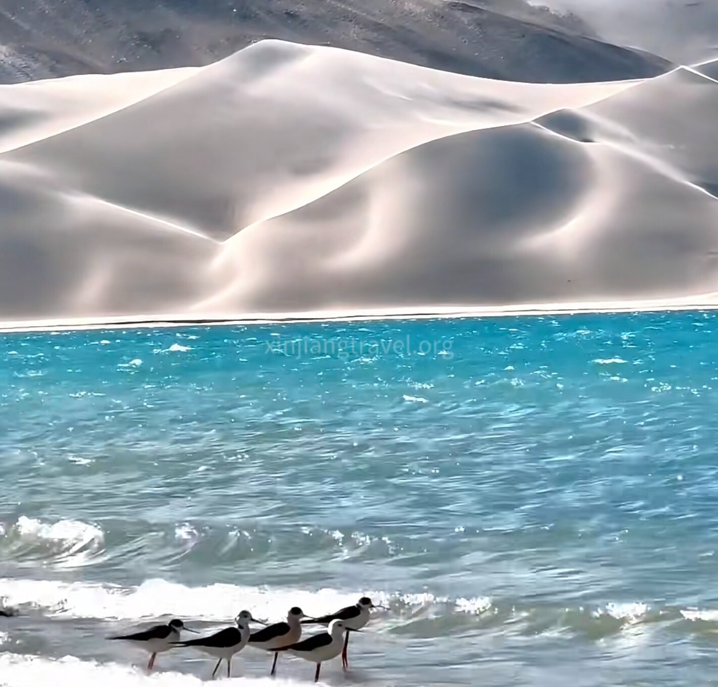 baisha-lake-01.jpg