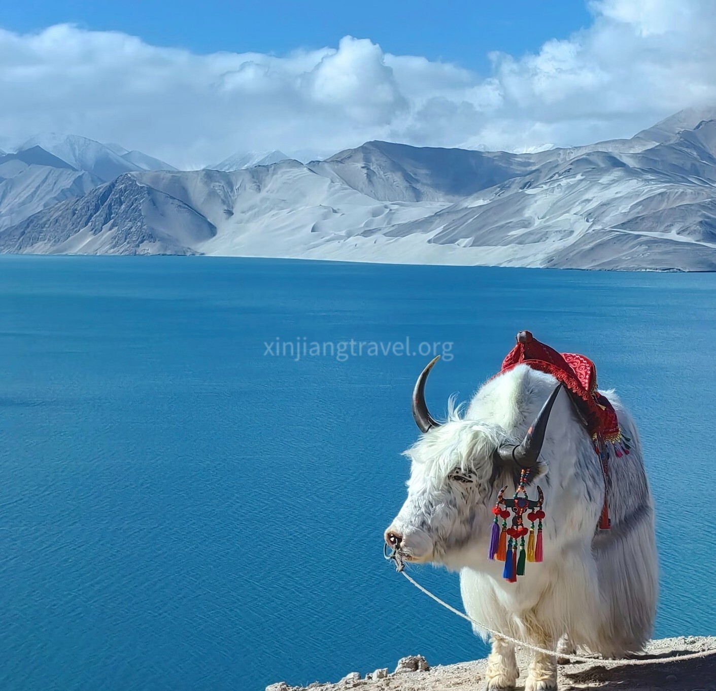 baisha-lake-02.jpg