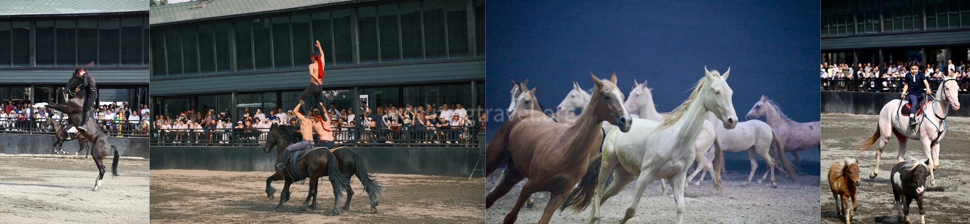 xinjiang-horseback-travel-9