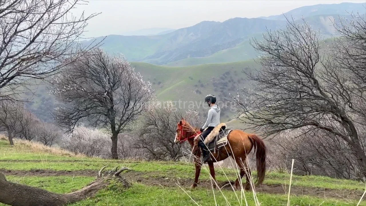 xinjiang-horseback-travel-8