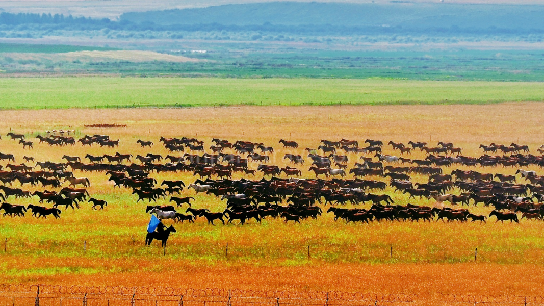 xinjiang-horseback-travel-6