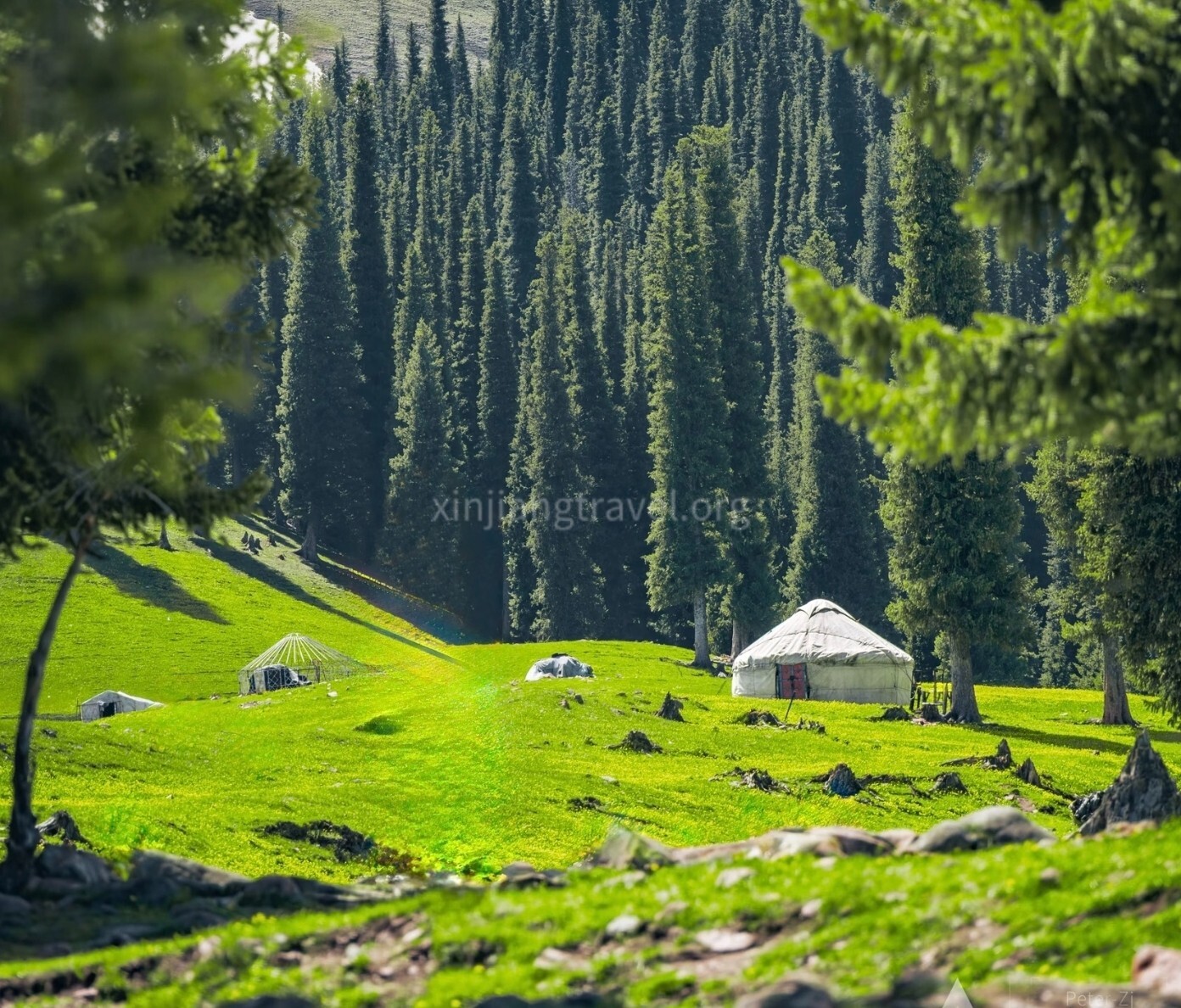 nalati-grassland-01.jpg
