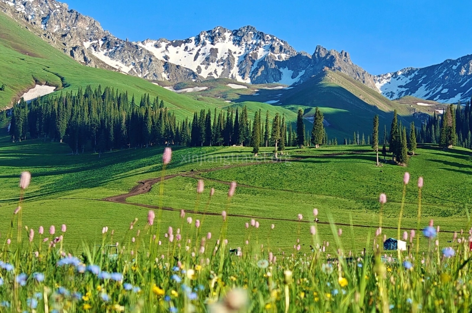 nalati-grassland-02.jpg