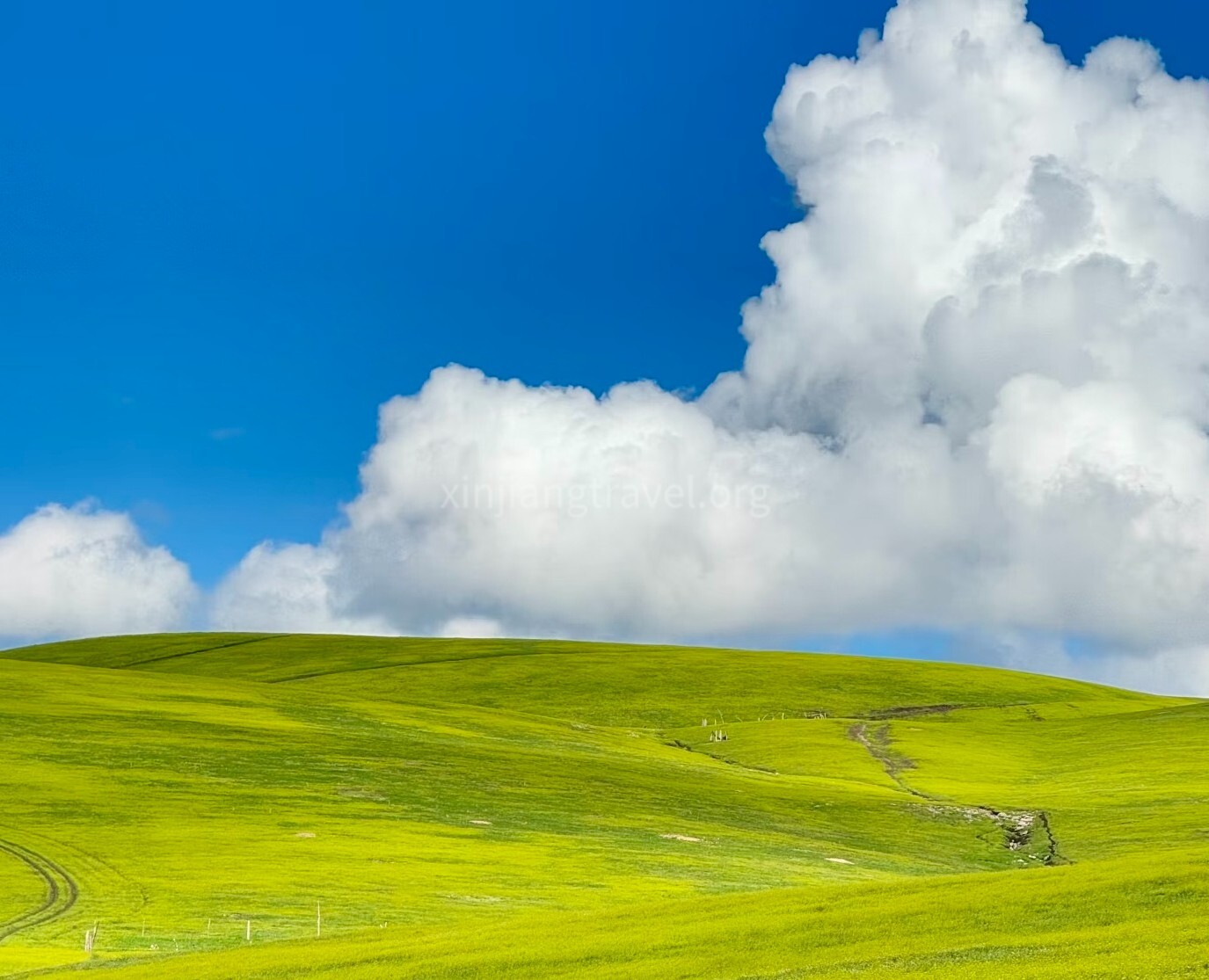 kalajun-grassland-01.jpg