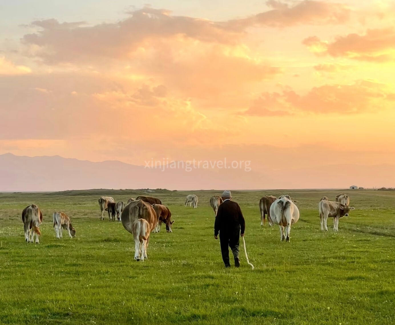 zhaosu-grassland-01.jpg