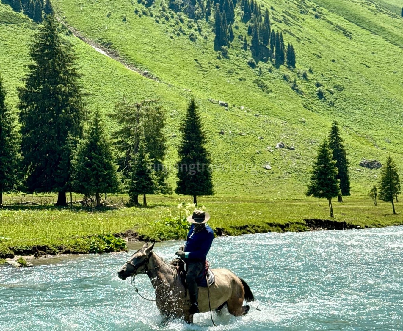 tangbula-grassland-01.jpg
