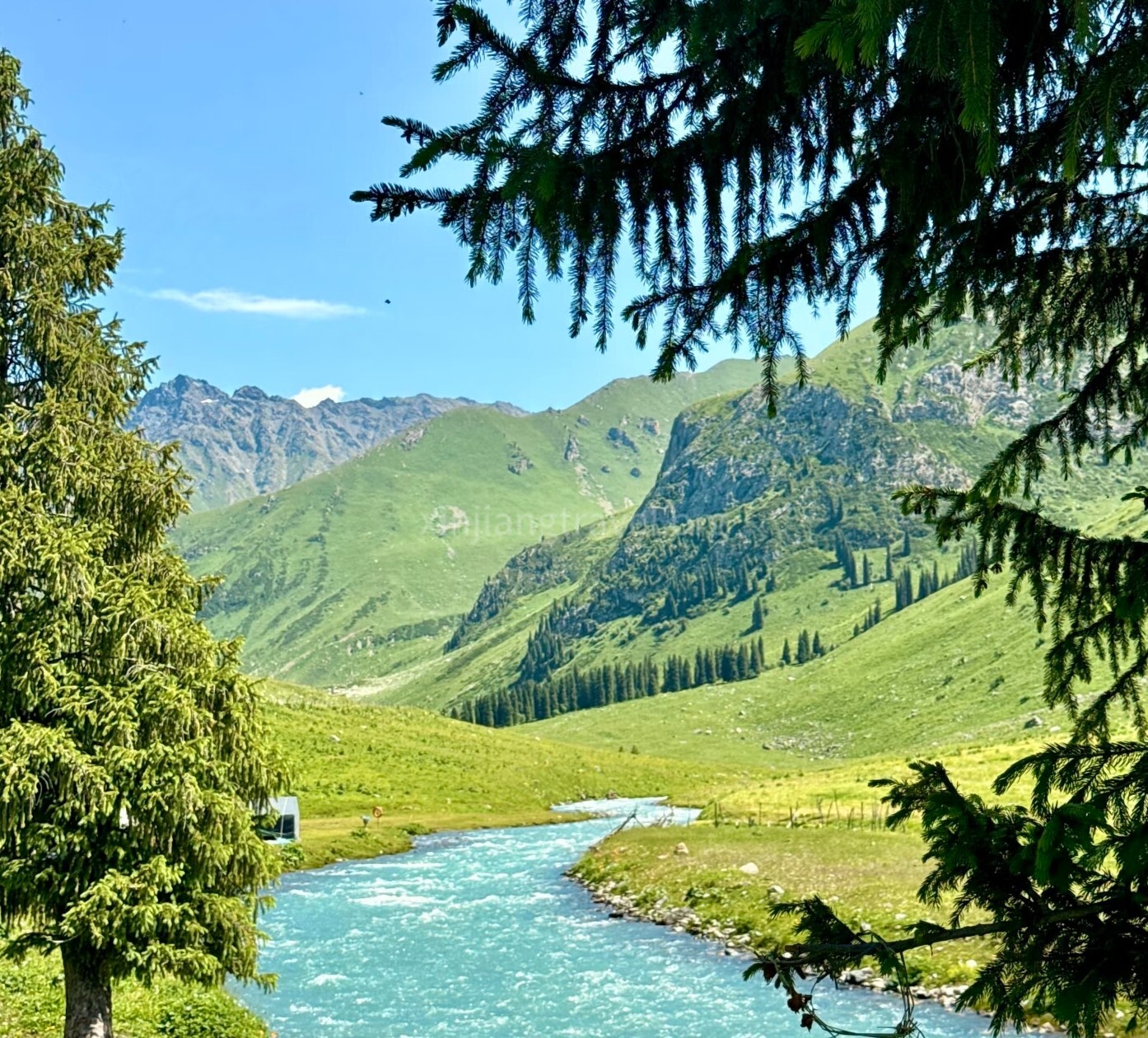 tangbula-grassland-02.jpg