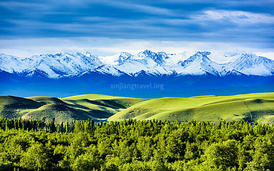 13 Days Xinjiang Tour to Ili Pastureland.jpg