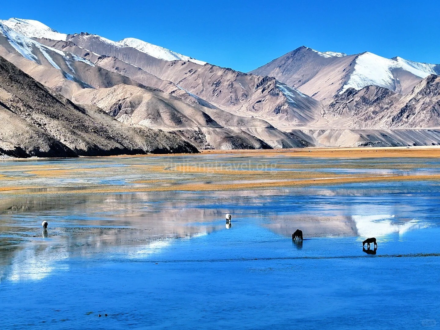 karakum-lake.jpg
