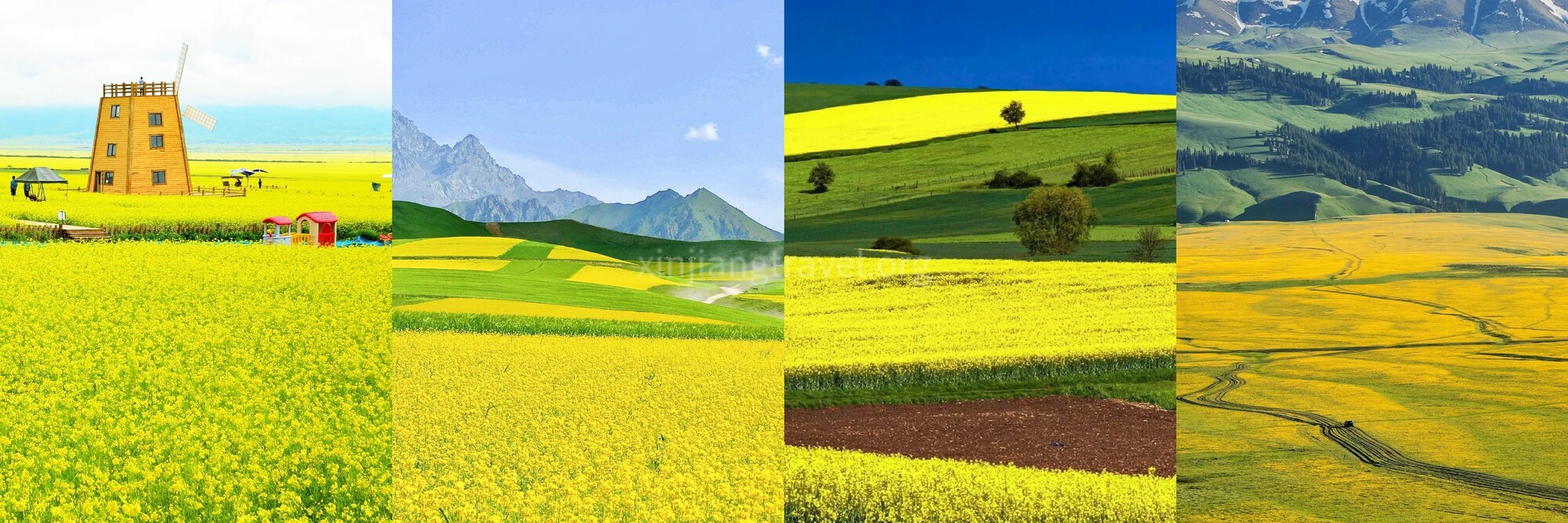 伊犁河谷.jpg